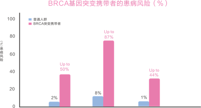 伟德体育 - 综合体育赛事平台|奥体中心相助同伴