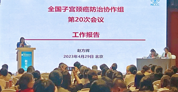 伟德体育 - 综合体育赛事平台|奥体中心相助同伴